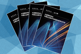 《从蓝图到伟业：中国企业数字化转型的思虑与行动》