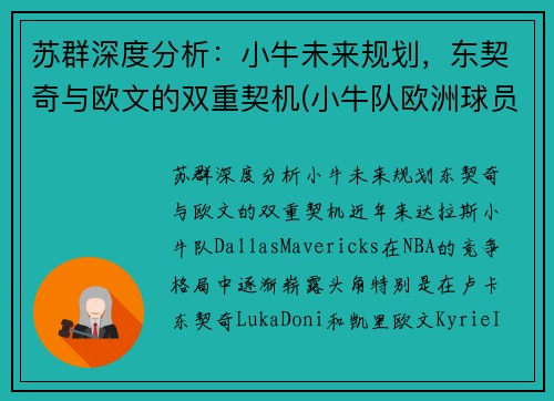 苏群深度分析：小牛未来规划，东契奇与欧文的双重契机(小牛队欧洲球员)