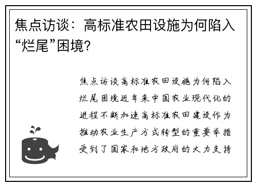 焦点访谈：高标准农田设施为何陷入“烂尾”困境？