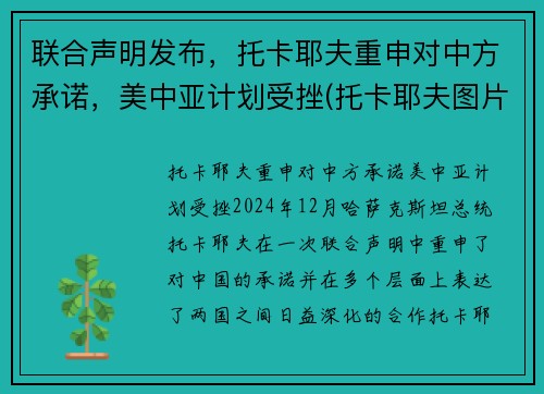 联合声明发布，托卡耶夫重申对中方承诺，美中亚计划受挫(托卡耶夫图片)