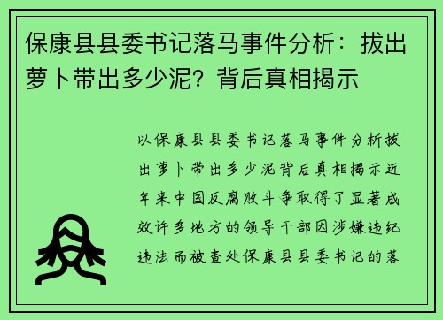 保康县县委书记落马事件分析：拔出萝卜带出多少泥？背后真相揭示